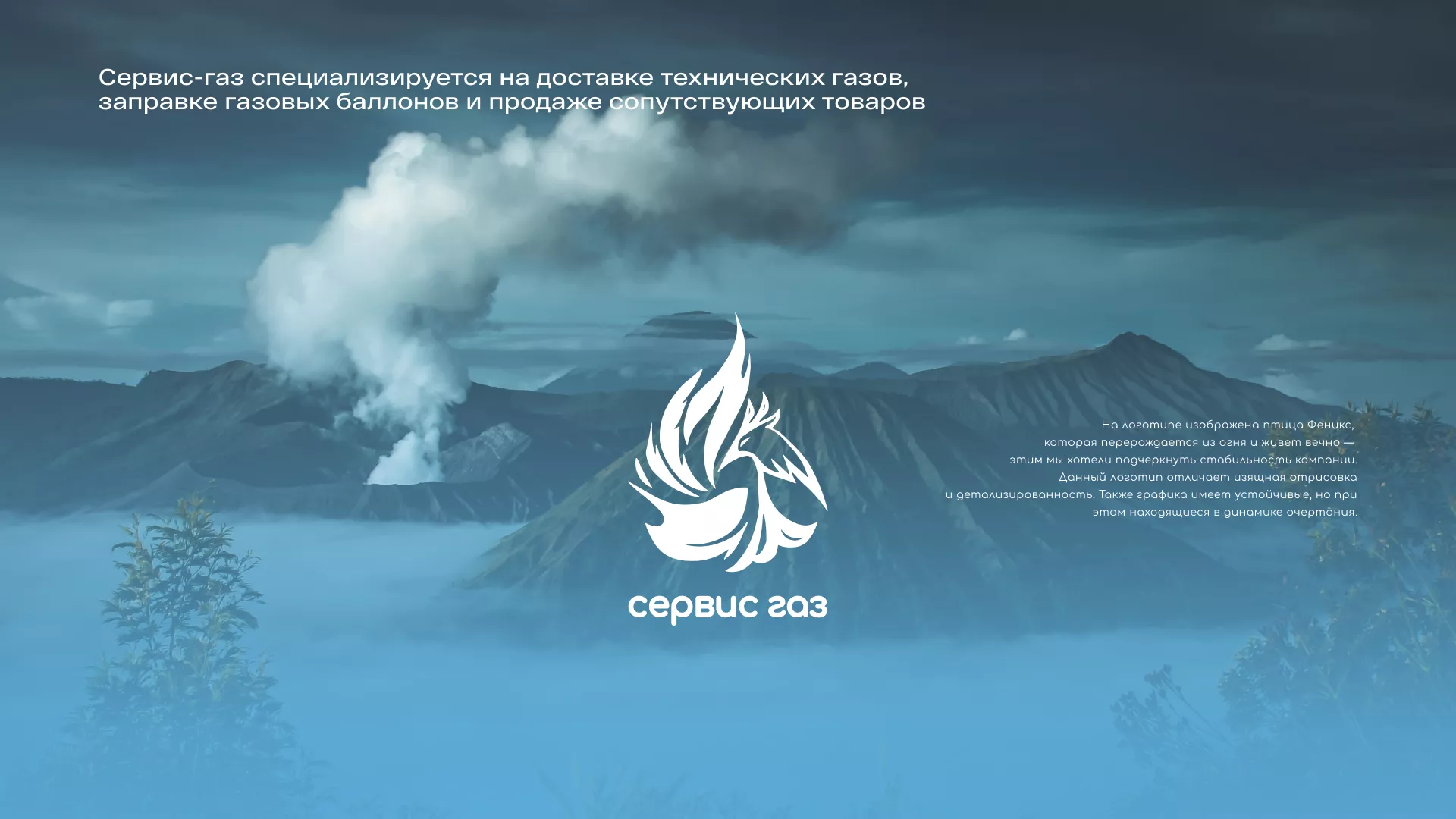Создание сайта компании «Сервис газ» в Острове